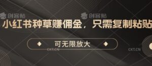 小红书种草手机赚钱，仅需拷贝，可放大化-智慧宝库