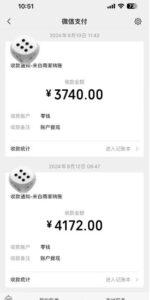 手机搬砖项目，可以矩阵化操作，新手一个月轻松5000多-智慧宝库